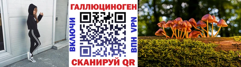 Купить где  Кулебаки  Псилоцибиновые грибы мухоморы 
